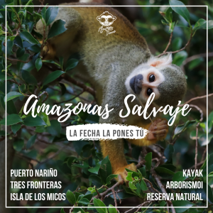 Tour al Amazonas